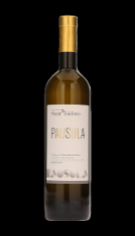 „PAUSULA“ Colli Maceratesi DOC